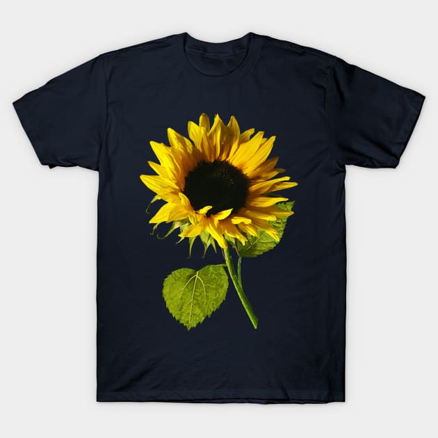 Sunflower Shadow and Light T-Shirt by SusanSavad